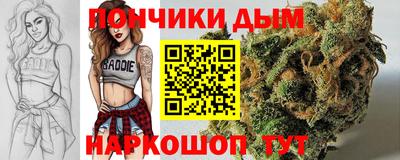 jwh Бийск