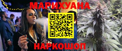 jwh Бийск