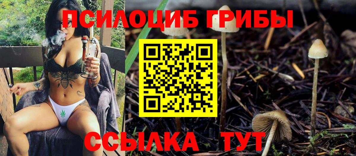 Псилоцибиновые грибы Cubensis Чехов