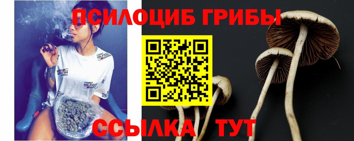 Чехов  Псилоцибиновые грибы Psilocybe  Вход с VPN  Галлюциногенные грибы GOLDEN TEACHER 